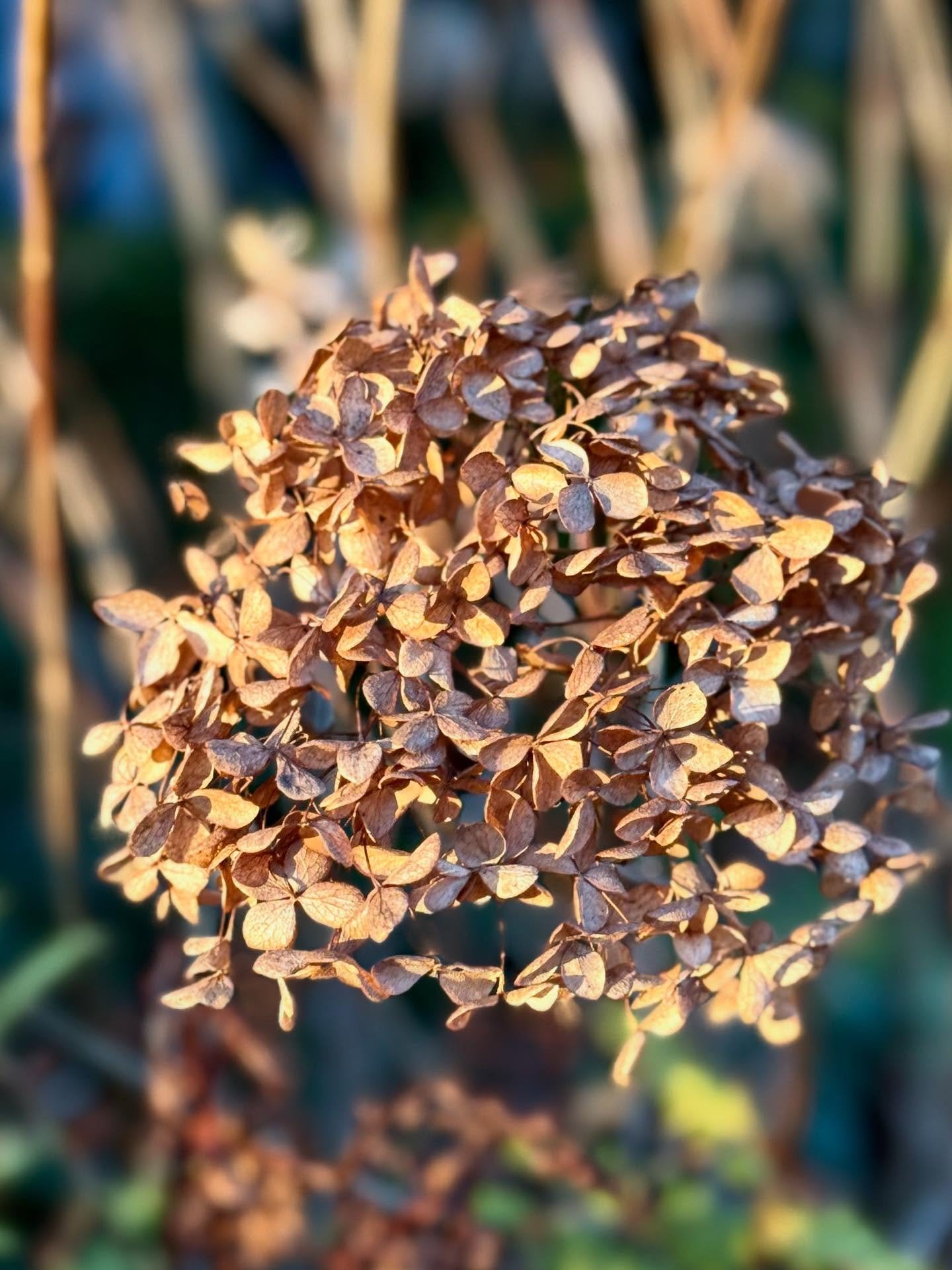 A very happy &amp; healthy New Year 🤍
Can we still say that 8 days in?

The start of a new year often has us thinking about health &mdash; especially gut health. We tend to define it as the absence of symptoms: no bloating, no discomfort, no digesti