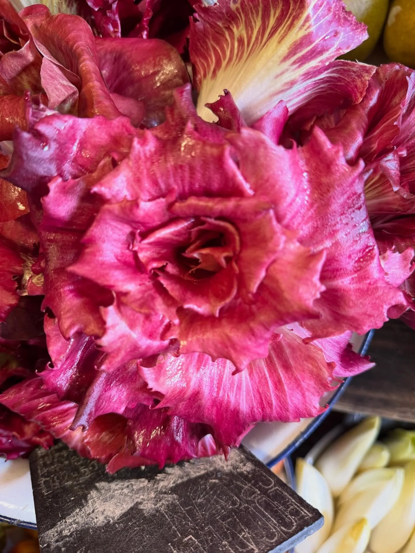 Hurray, it&rsquo;s March 🌿

As Mother Nature awakens, I feel like I&rsquo;ve emerged from a winter slumber too &mdash; which perhaps explains my recent silence here. 

Spring brings colour, light, fresh growth and renewed inspiration. It invites us 