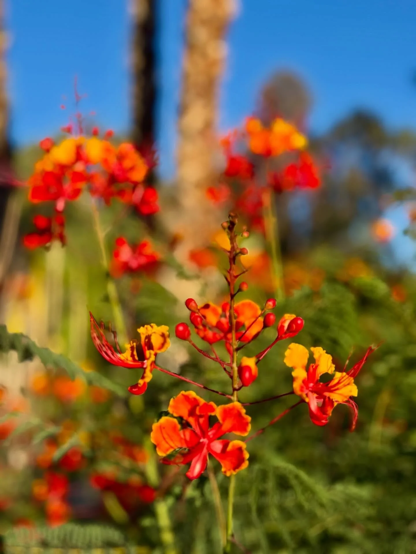 Let&rsquo;s talk COLOURS 🌈

Why are colours so important for your health? Because the pigments in plant foods reflect specific bioactive compounds&mdash;many of which have measurable effects on inflammation, oxidative stress, and cellular function. 