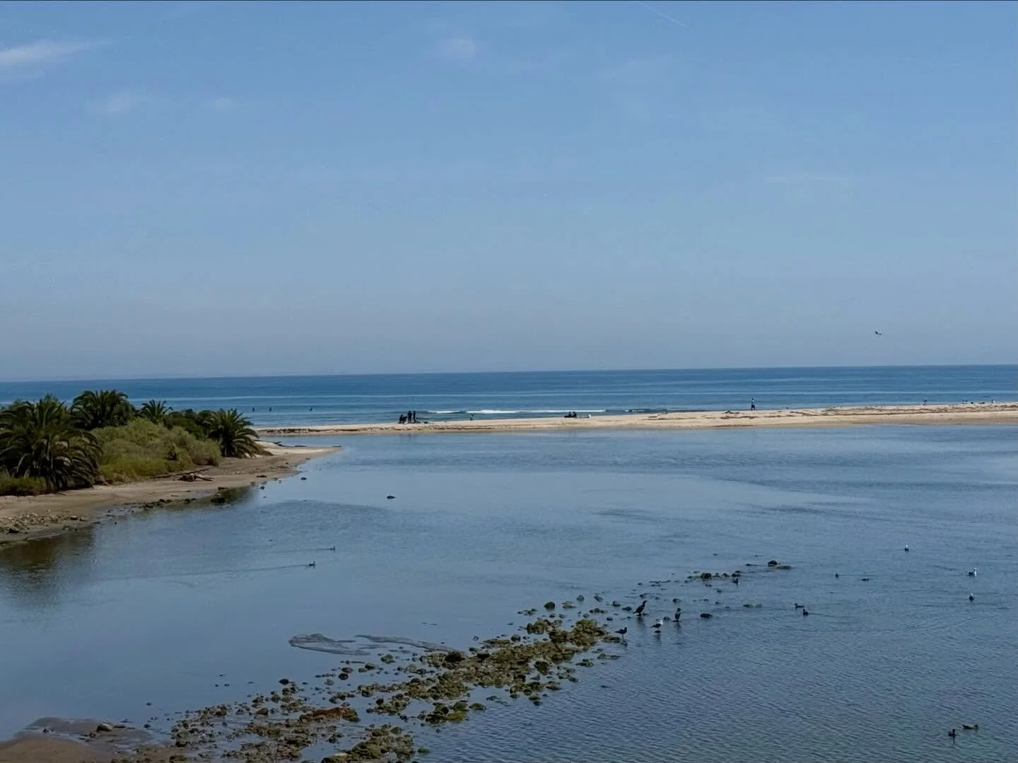 A long weekend in Los Angeles 💛

Between a beautiful family wedding, time with friends I don&rsquo;t see nearly enough, and slow moments with loved ones, there were also so many shared meals&mdash;most of them enjoyed outside, in the sunshine ☀️. 

