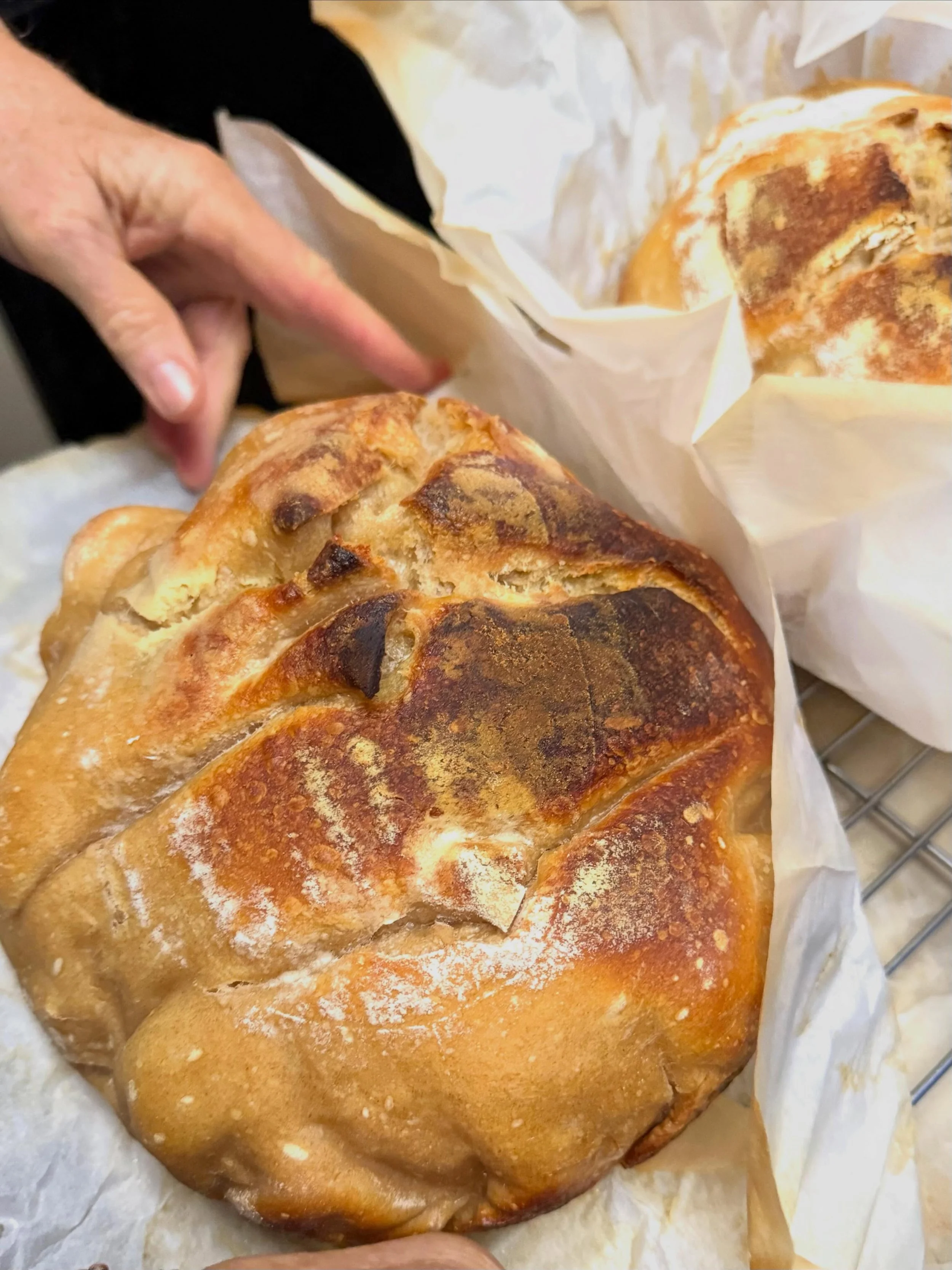 What happens when you spend a week with a fellow foodie friend? 🌿

A lot of cooking, baking, hands in the soil, and body &amp; soul fully nourished. We built a raised veggie bed from scratch&mdash;layered with rich soil and well-aged horse manure, p