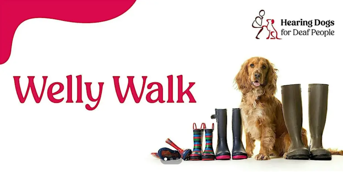 Charity Welly Walk at Greenham Common