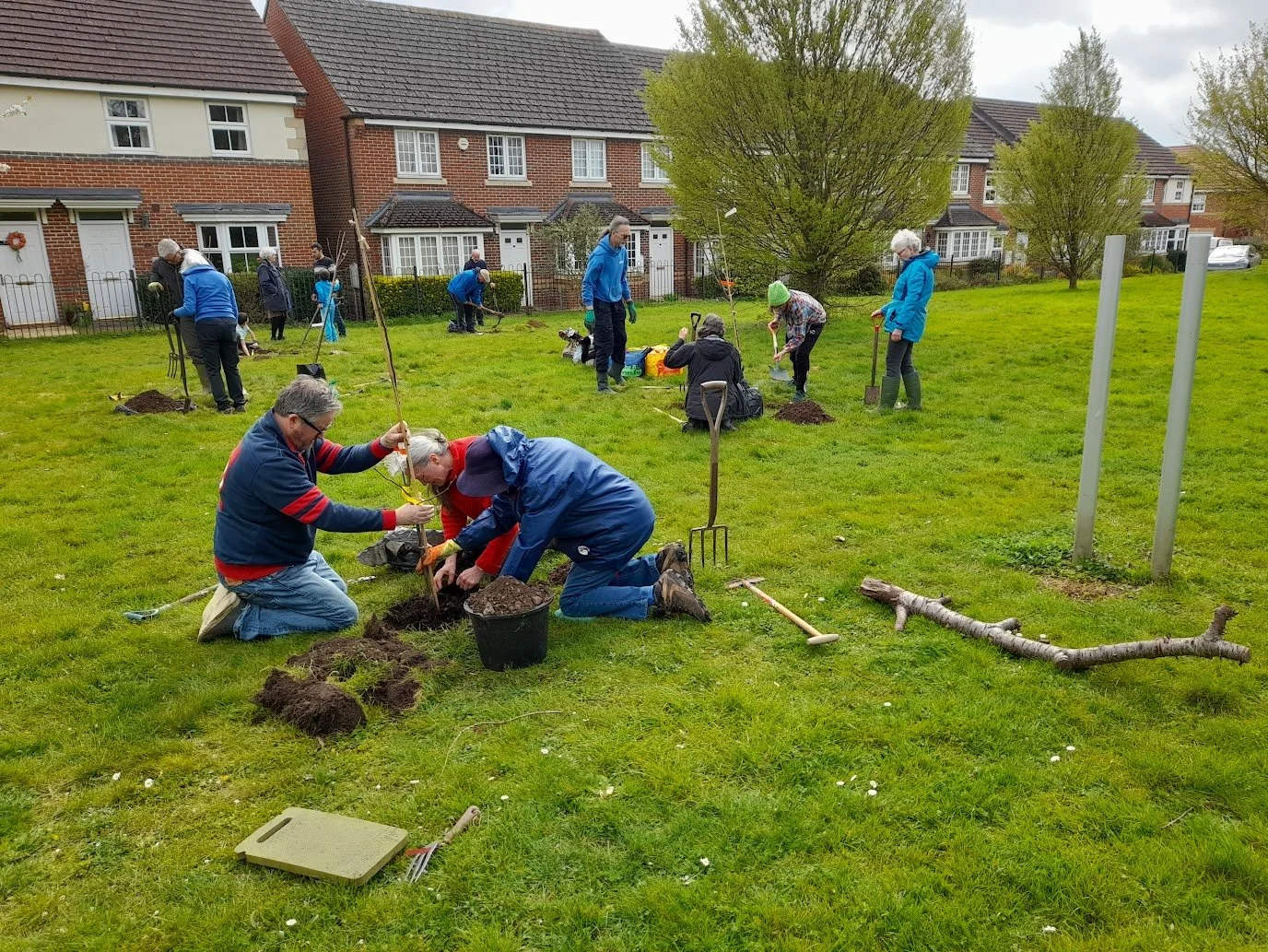 Six New Fruit Trees for Greenham
