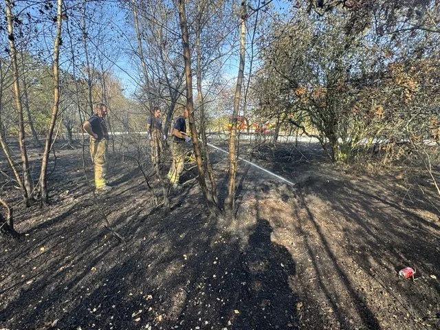 Fire on Crookham Common 1340.jpeg
