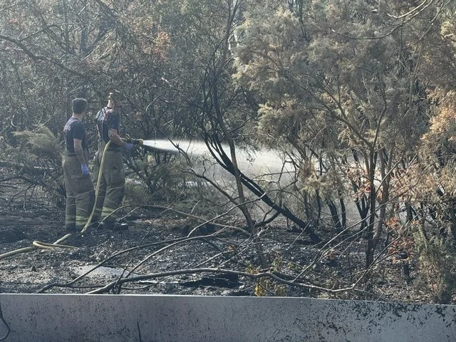 Fire on Crookham Common 1337.jpeg