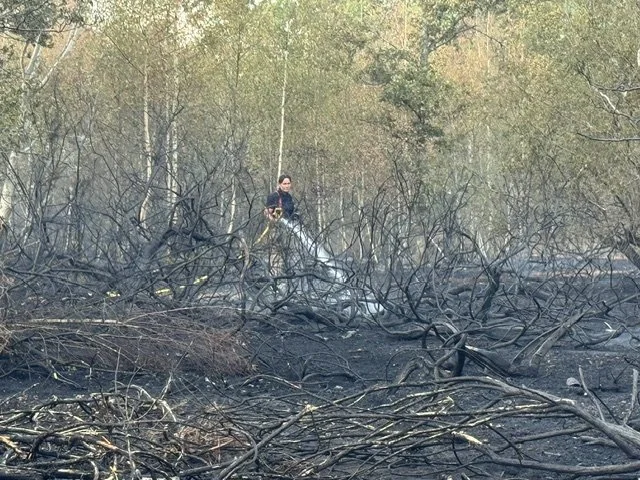 Fire on Crookham Common 1333.jpeg