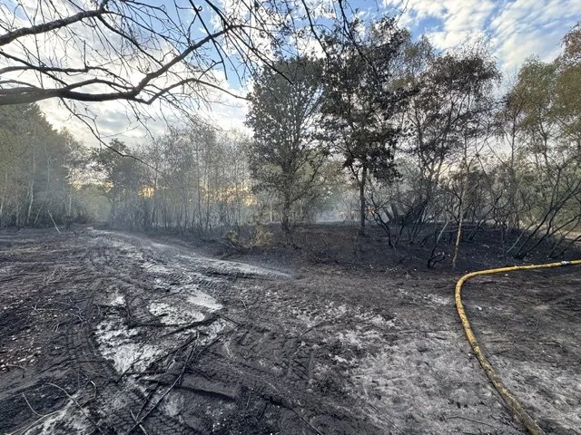 Fire on Crookham Common 1332.jpeg