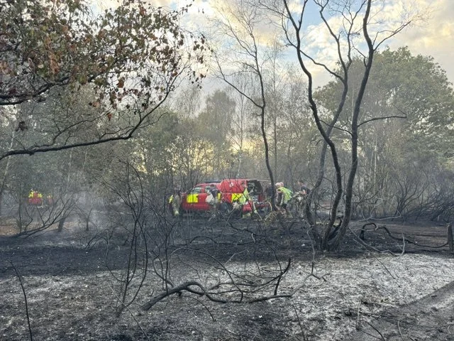 Fire on Crookham Common 1330.jpeg