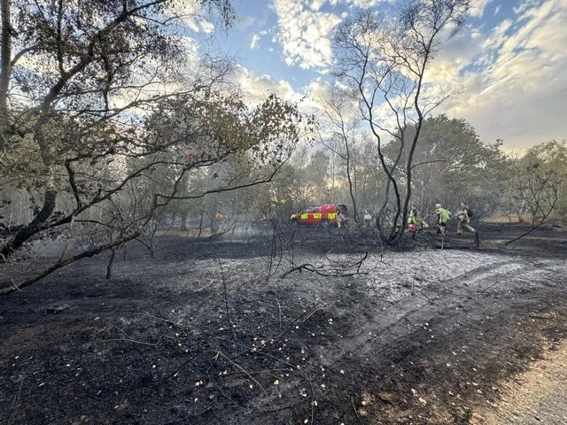 Fire on Crookham Common 1328.jpeg