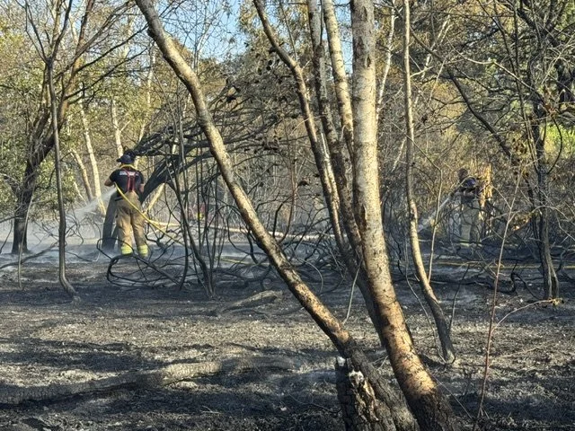 Fire on Crookham Common 1326.jpeg