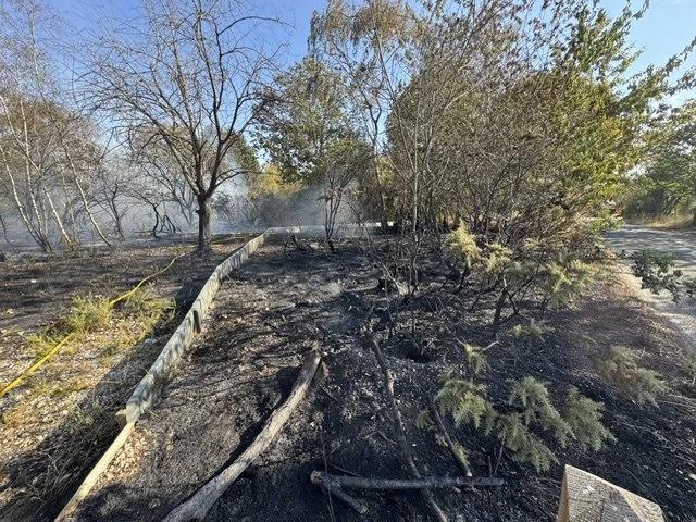 Fire on Crookham Common 1319.jpeg