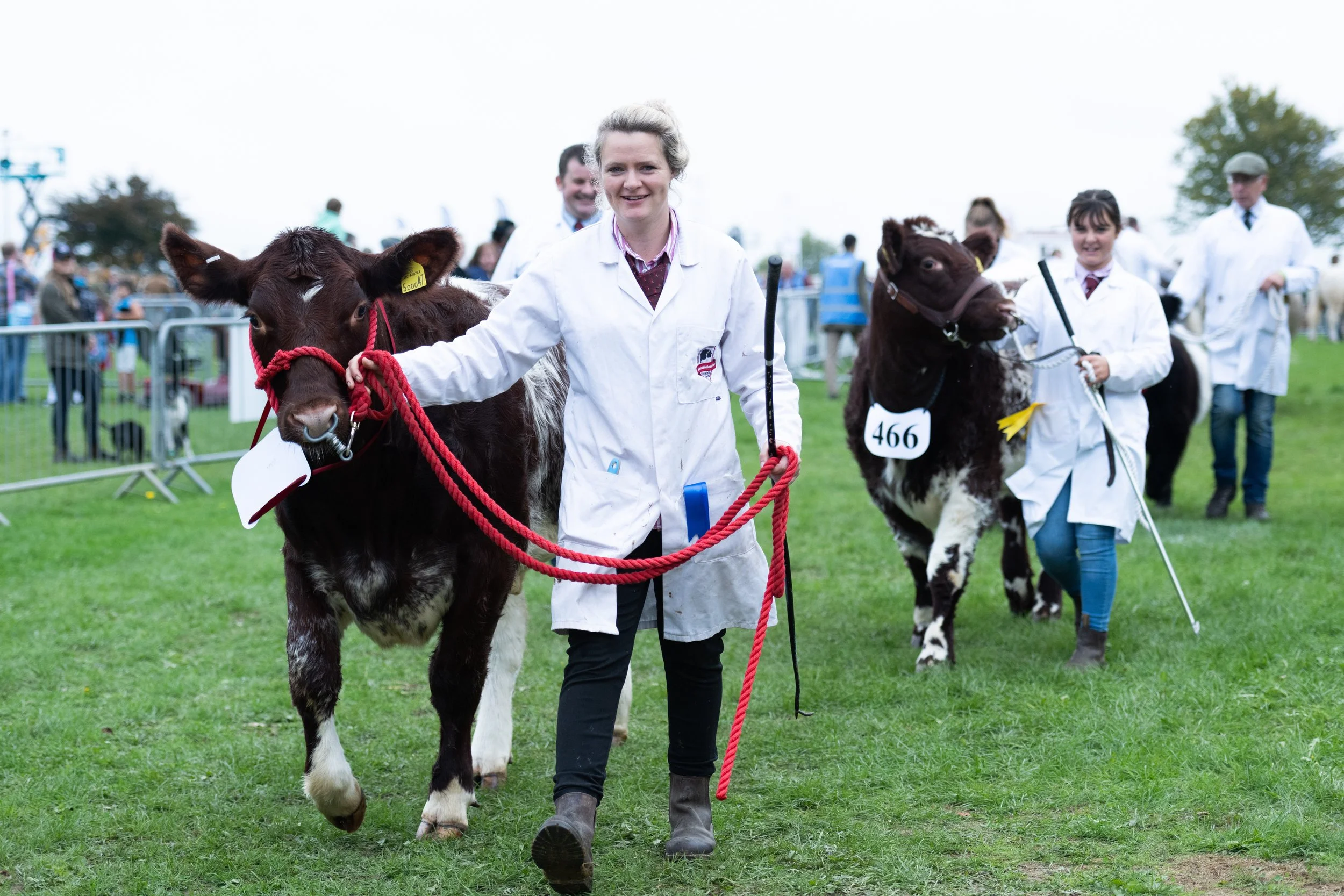 Newbury Show Returns for 2026