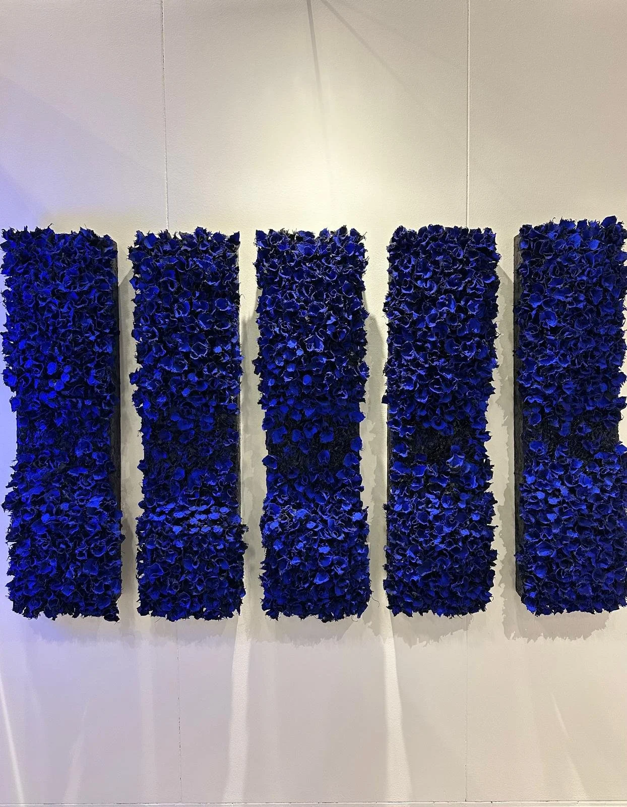 WhatsApp Image 2024-12-07 at 13.52.35.jpeg