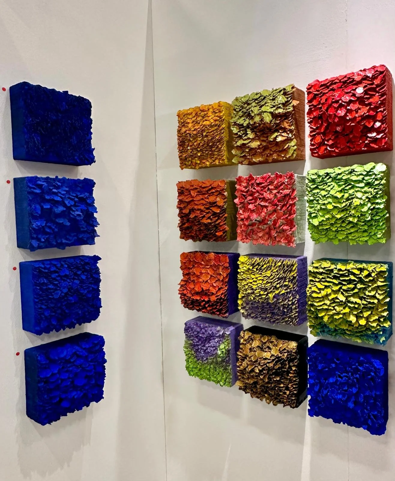 WhatsApp Image 2024-12-07 at 13.49.36.jpeg