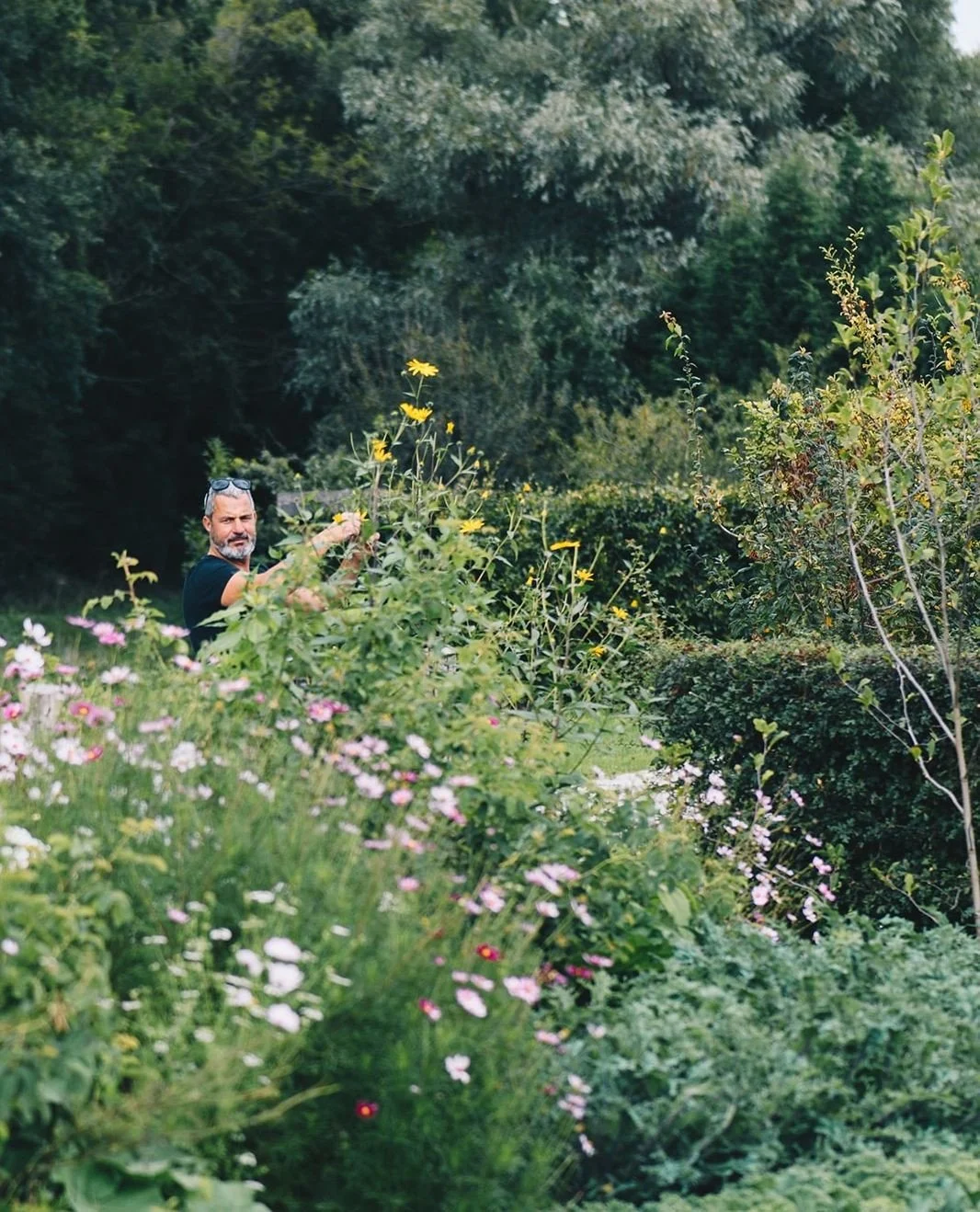 From farm to table at Williams Farmhouse. Our herbs are sourced from Edwin Flores, the man who knows the Dutch forests and fields better than anyone. With his wild harvest of greens and roots, every dish on our menu carries the freshness of nature st