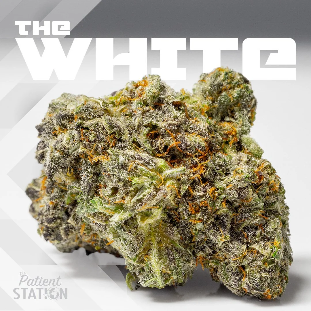 tps-the-white-flower-insta.JPG
