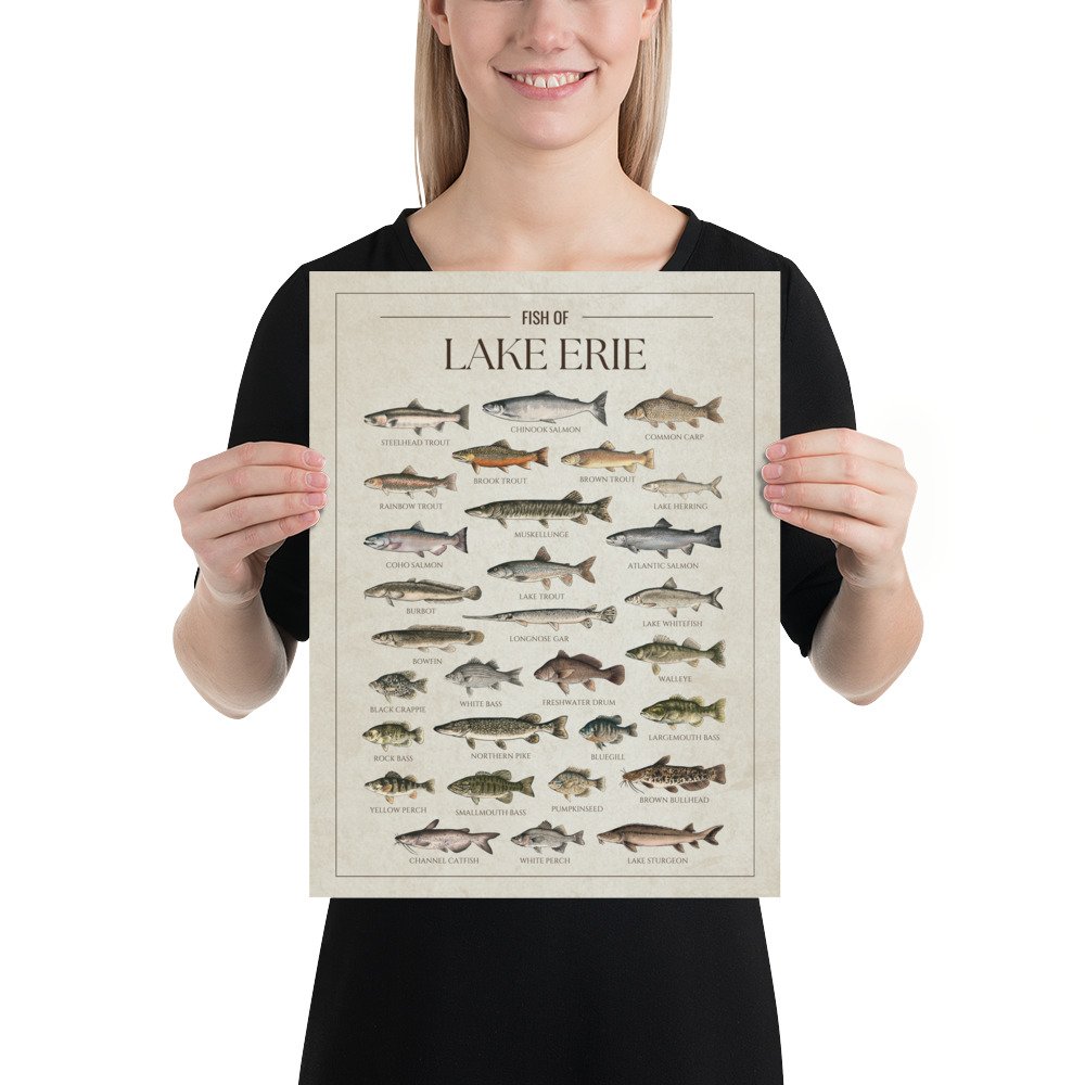 enhanced-matte-paper-poster-(in)-12x16-person-67910cc3ecf9f.jpg