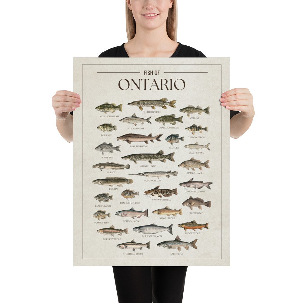 enhanced-matte-paper-poster-(in)-18x24-person-68090afb830f0.jpg
