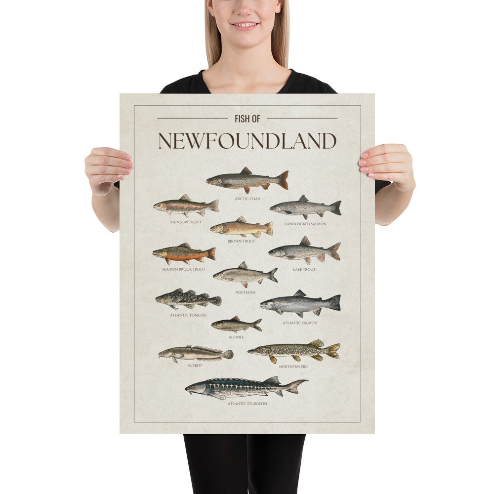 enhanced-matte-paper-poster-(in)-18x24-person-6809134a904ba.jpg
