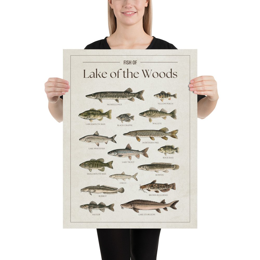 enhanced-matte-paper-poster-(in)-18x24-person-68094328c1c2f.jpg