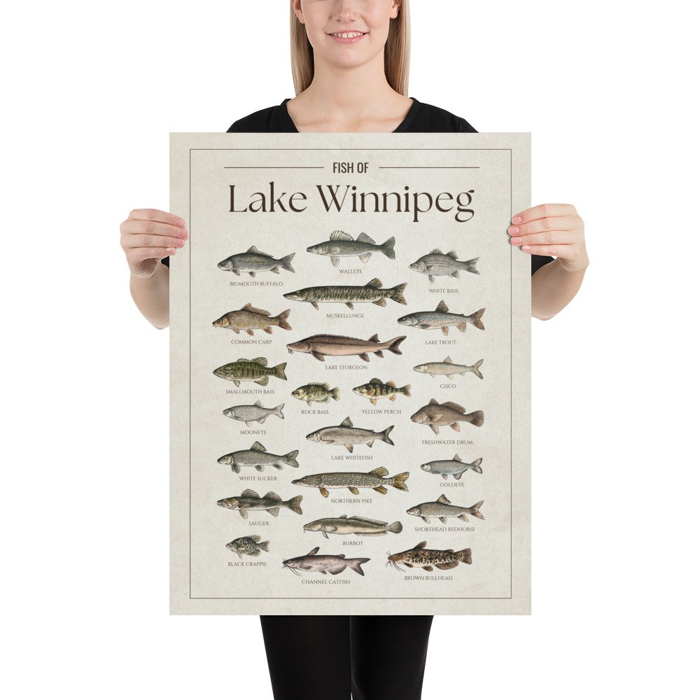 enhanced-matte-paper-poster-(in)-18x24-person-6809459fcb3f9.jpg