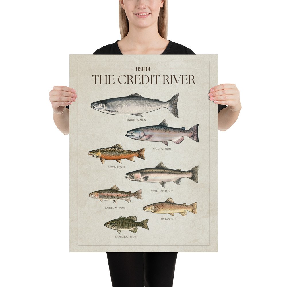 enhanced-matte-paper-poster-(in)-18x24-person-68114f860626d.jpg