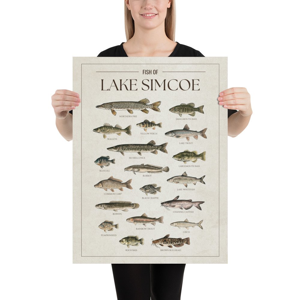enhanced-matte-paper-poster-(in)-18x24-person-6813af45c357c.jpg