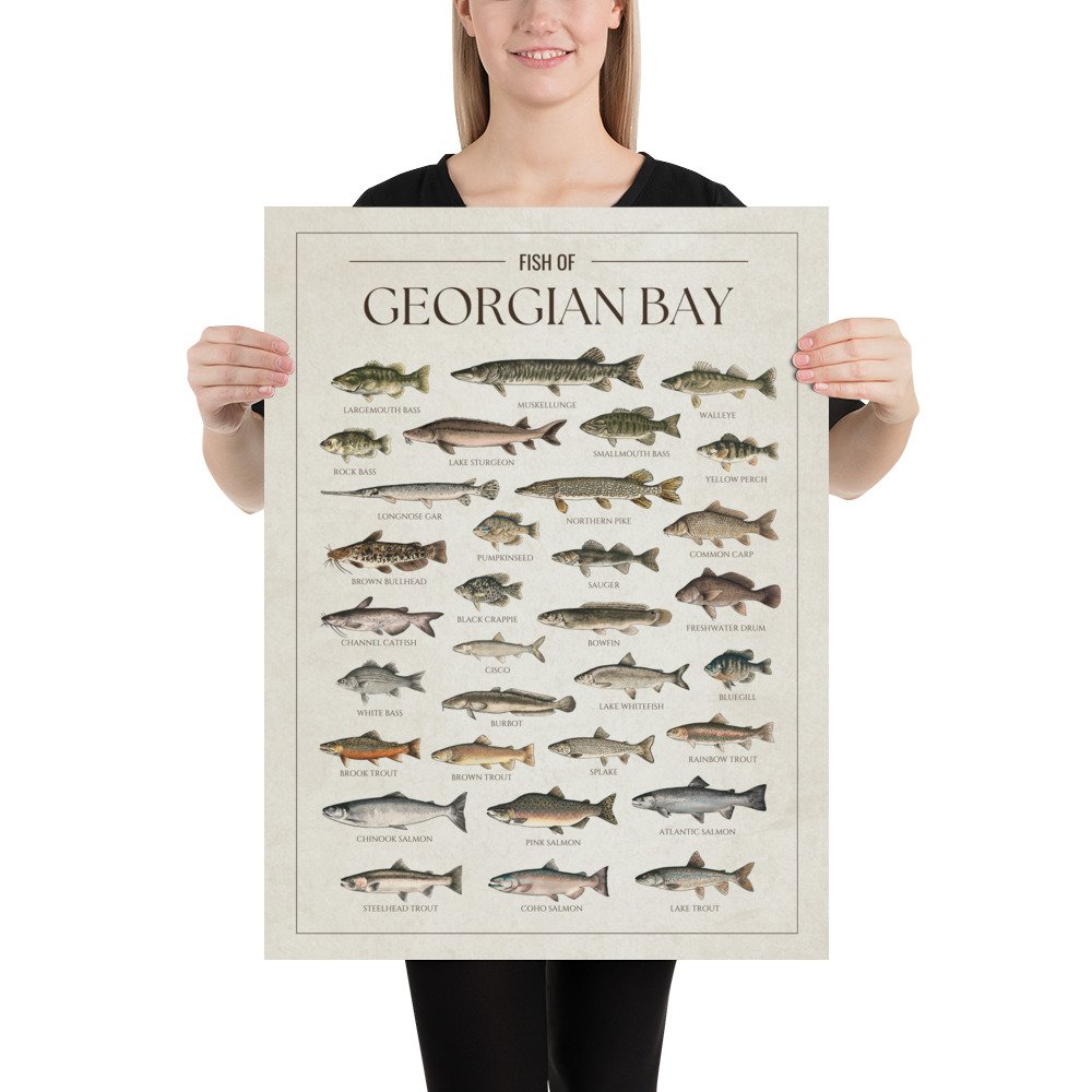 enhanced-matte-paper-poster-(in)-18x24-person-6813cb2ba168e.jpg