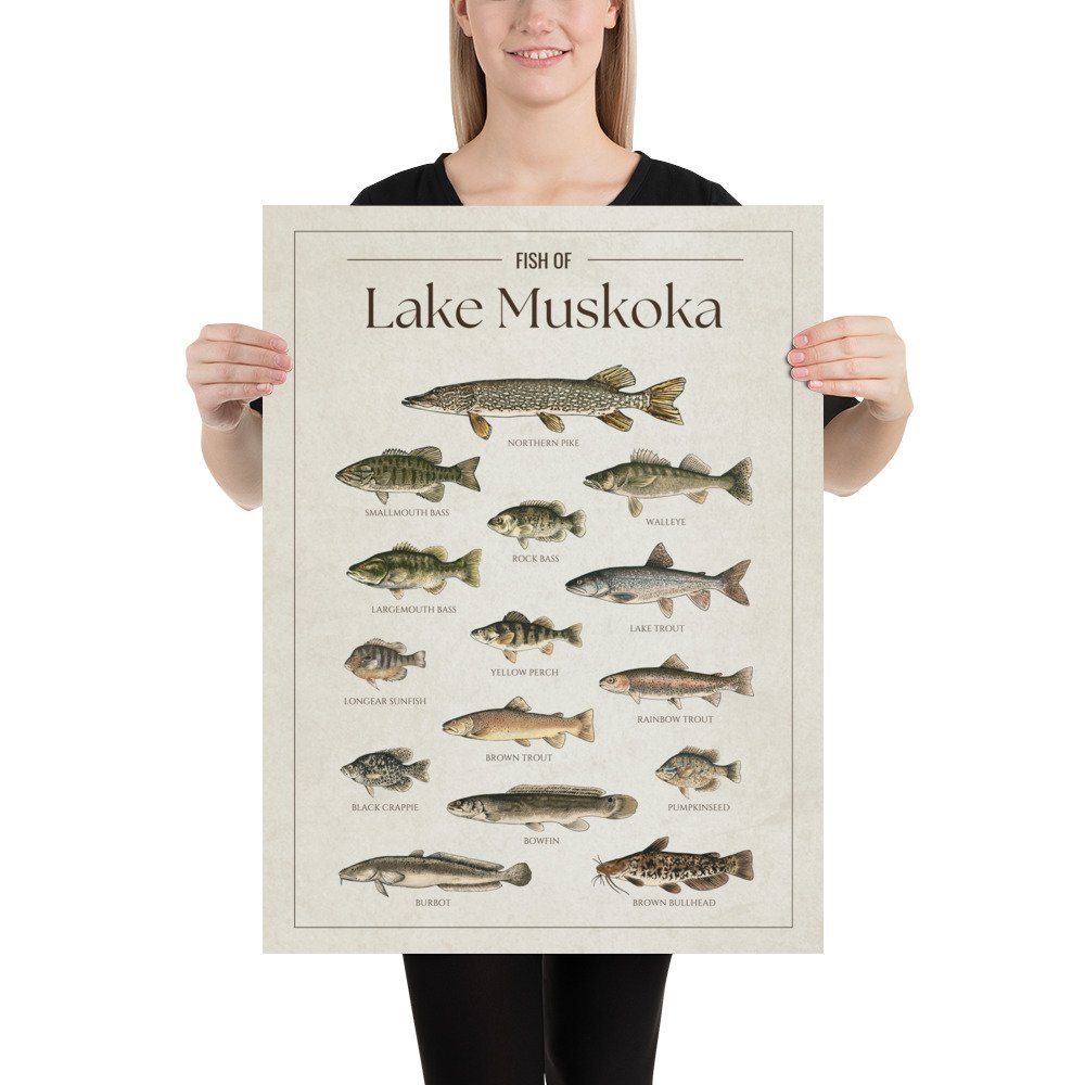 enhanced-matte-paper-poster-(in)-18x24-person-6813cde8667eb.jpg