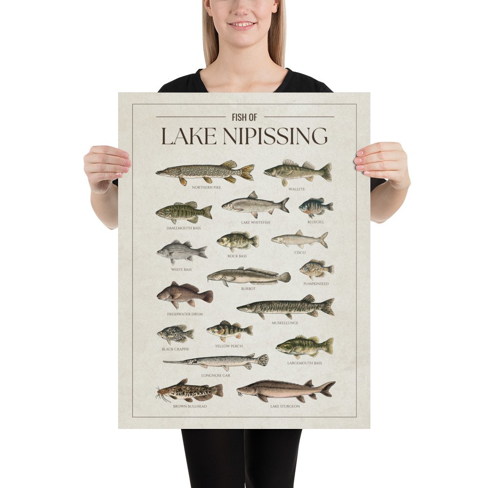enhanced-matte-paper-poster-(in)-18x24-person-6813d4276b6f1.jpg
