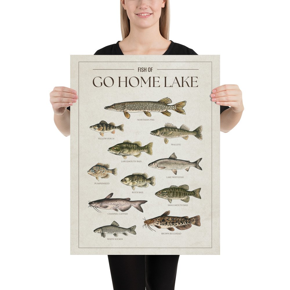 enhanced-matte-paper-poster-(in)-18x24-person-68150b872155f.jpg