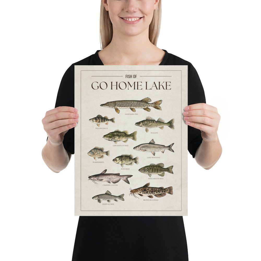enhanced-matte-paper-poster-(in)-12x16-person-68150b8721bd2.jpg
