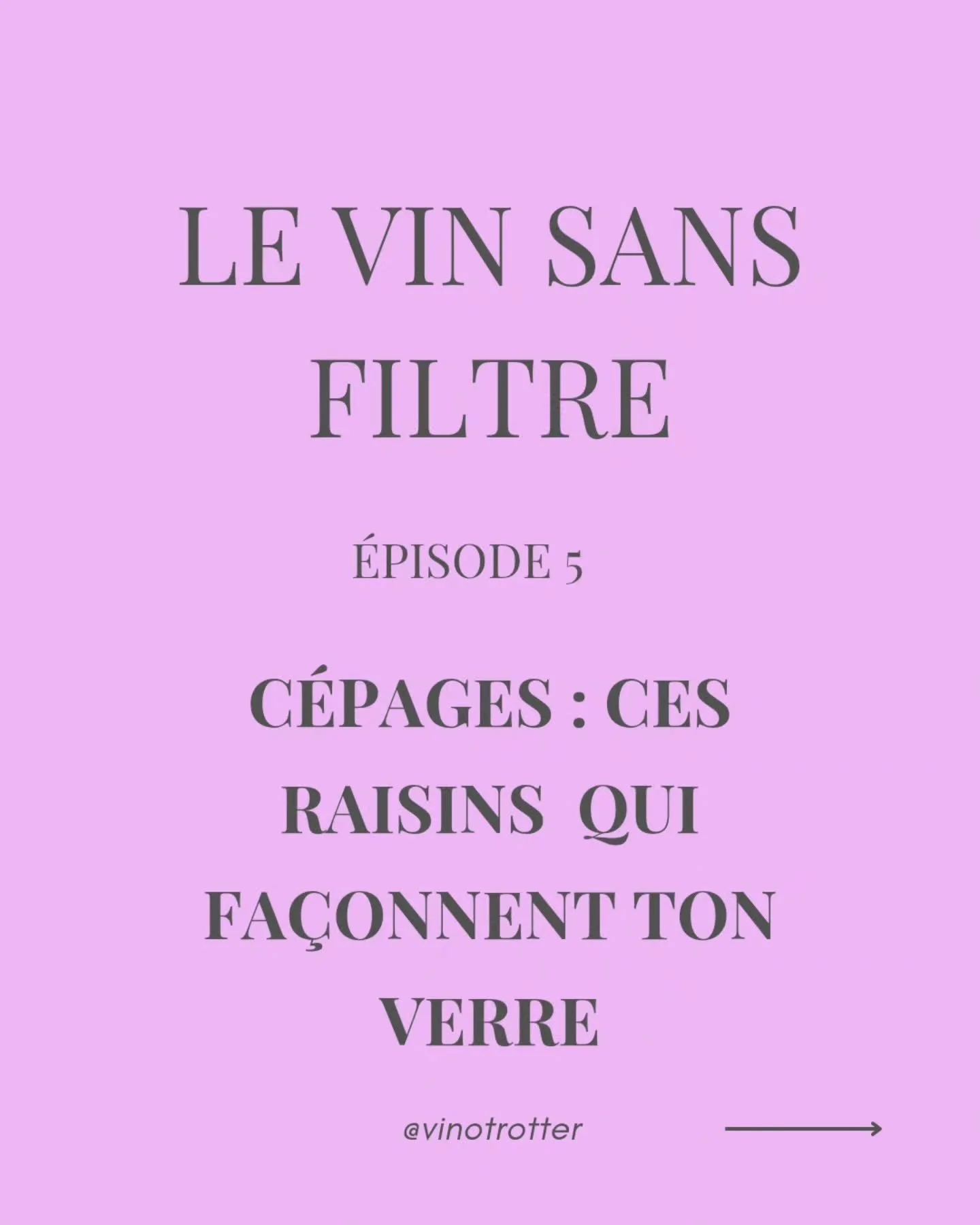 Les c&eacute;pages sont bien plus que des noms sur une &eacute;tiquette : 

🍇 Ils sont la m&eacute;moire des terroirs, la cl&eacute; des ar&ocirc;mes, et aujourd'hui... l'une des r&eacute;ponses face aux d&eacute;fis climatiques. 

De l'ancien Pinea