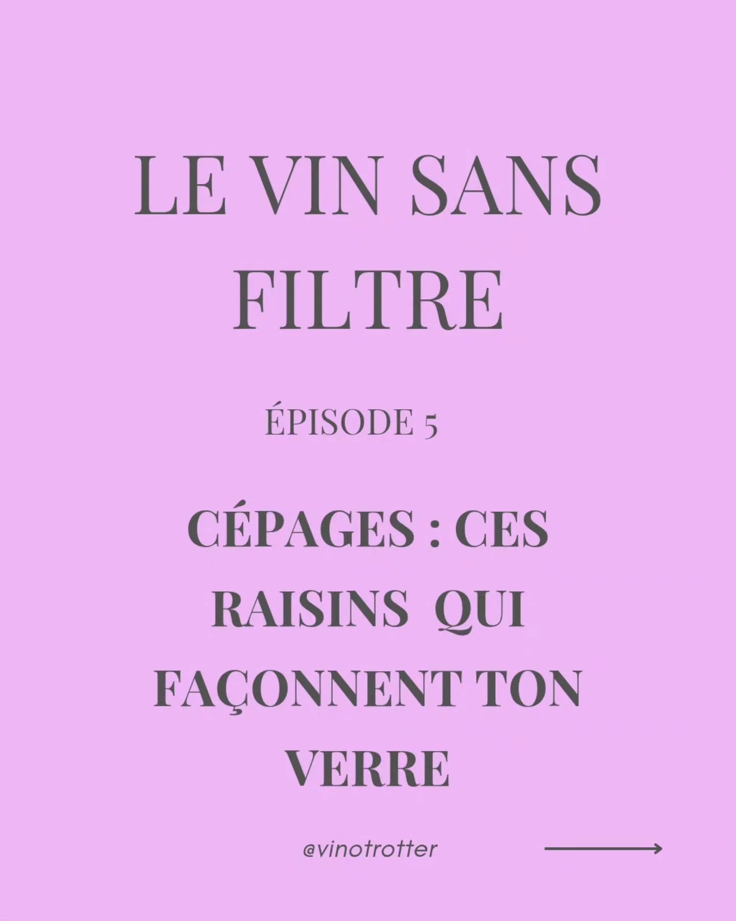 Les c&eacute;pages sont bien plus que des noms sur une &eacute;tiquette : 

🍇 Ils sont la m&eacute;moire des terroirs, la cl&eacute; des ar&ocirc;mes, et aujourd'hui... l'une des r&eacute;ponses face aux d&eacute;fis climatiques. 

De l'ancien Pinea