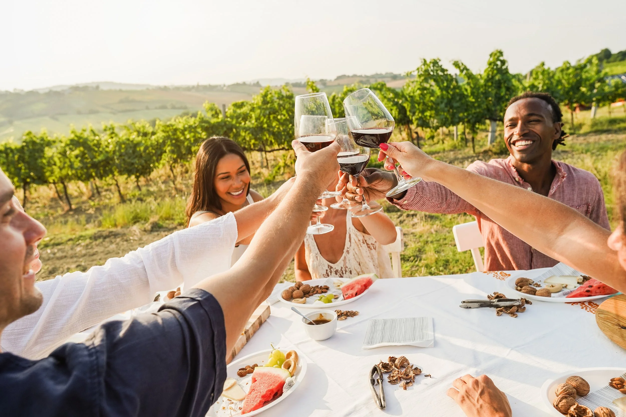 Friends clinking glasses of red wine at an outdoor vineyard gathering with a view of rolling hills, enjoying a meal together.
