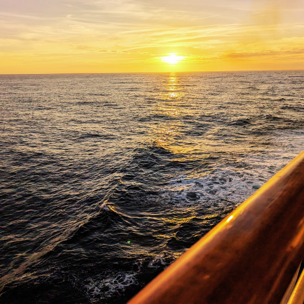 The sun melts into the open ocean from a ship's railing — a long, gold horizon and the soft hush of sunset at sea.