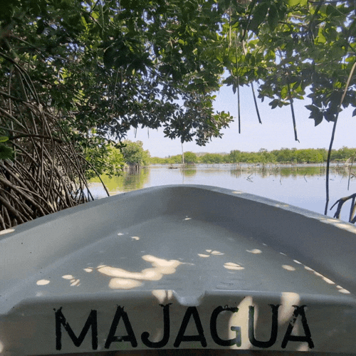 View from a boat named 'Majagua' looking out over a calm river surrounded by lush green trees.