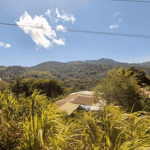 A scenic view of a rural landscape with lush green plants in the foreground, a small house in the middle ground, and rolling hills in the background under a partly cloudy sky with two power lines overhead.