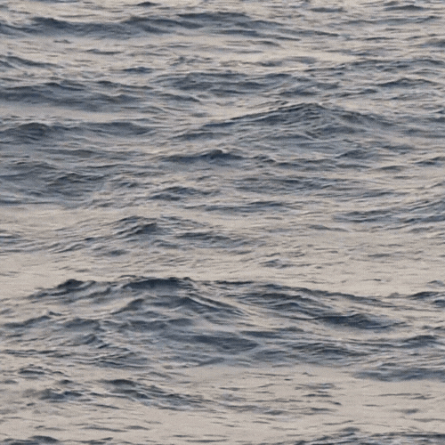 Calm ocean water with gentle ripples