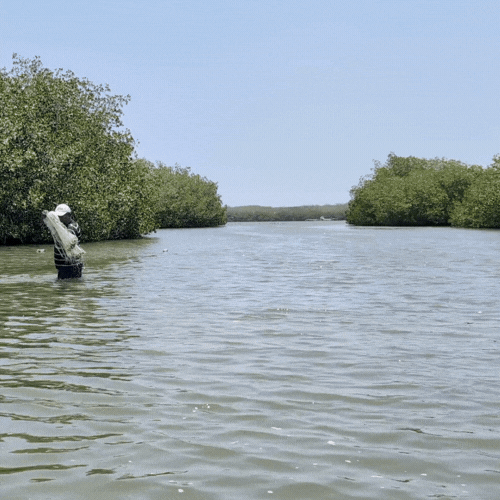 Person fishing in a river surrounded by green trees under a clear blue sky.