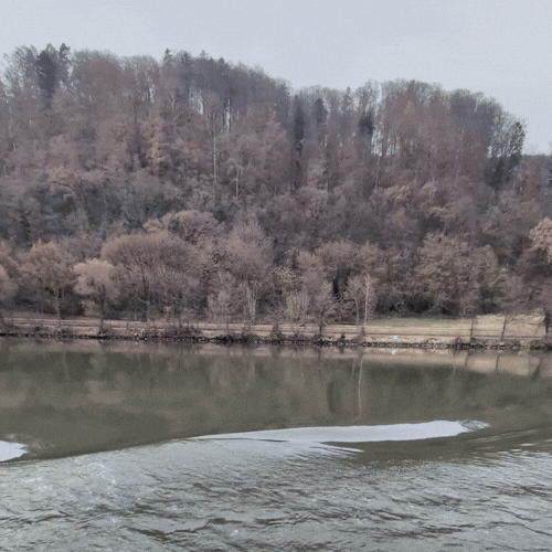 A lake with a rippling water surface in front of a wooded hillside during daytime.