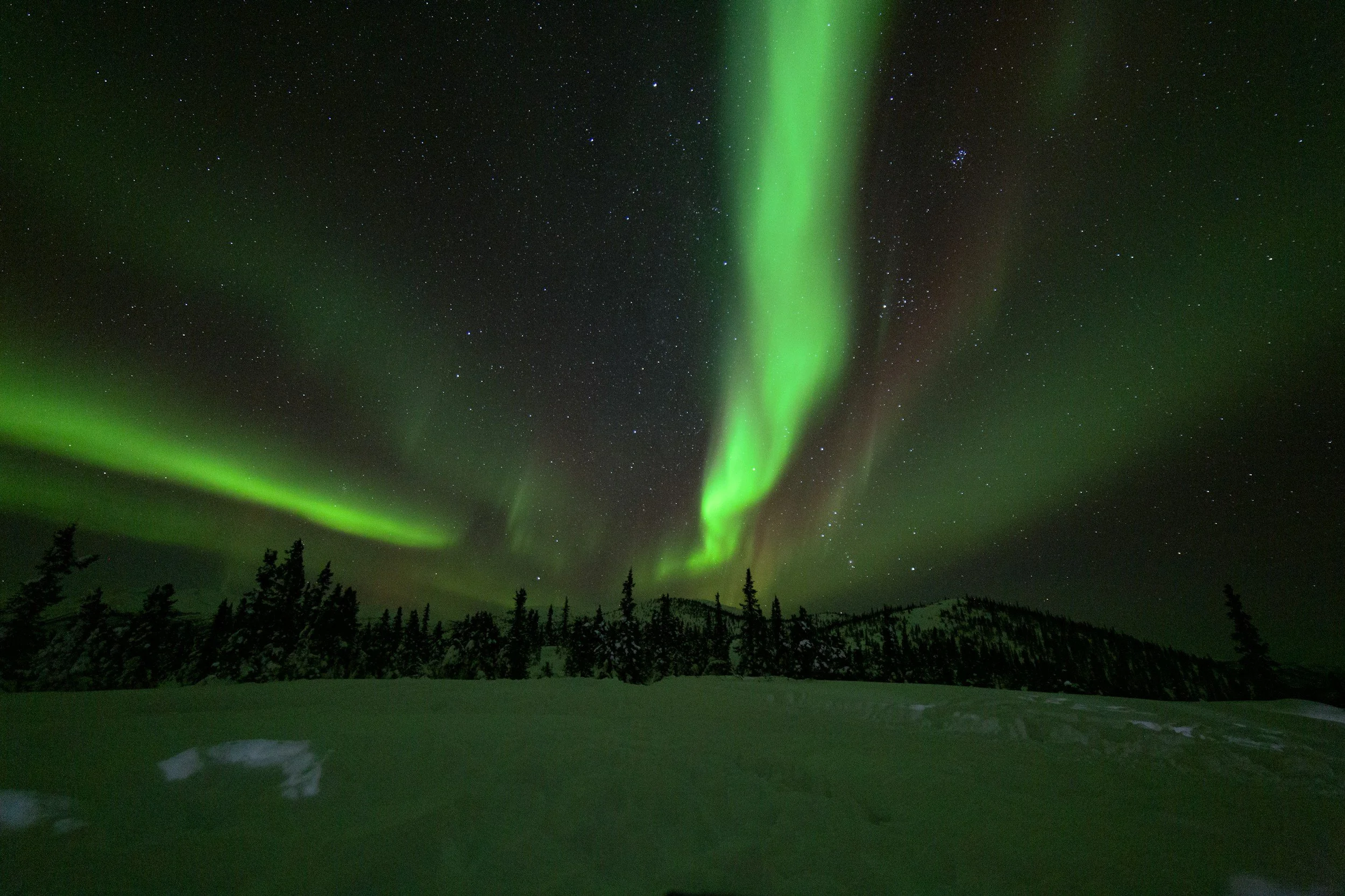 Northern Lights (Aurora Borealis) in the night sky with stars, over a snow-covered landscape and trees.