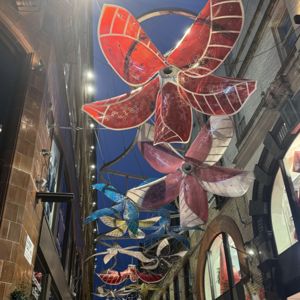 Colorful butterfly-shaped lanterns hanging outside a building, with a clear evening sky in the background.