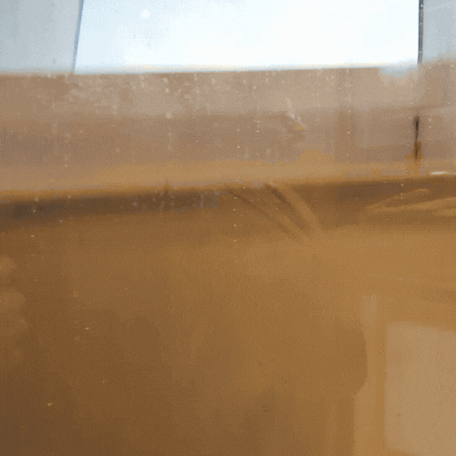 Close-up of a brown, reflective surface with a greenish background and some minor scratches or blemishes.