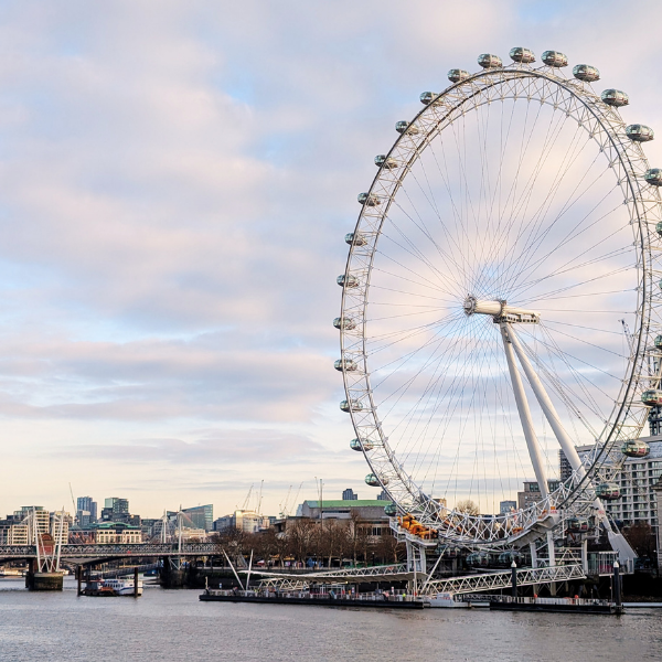 A large Ferris wheel by a river in a cityscape with buildings and a cloudy sky in the background.