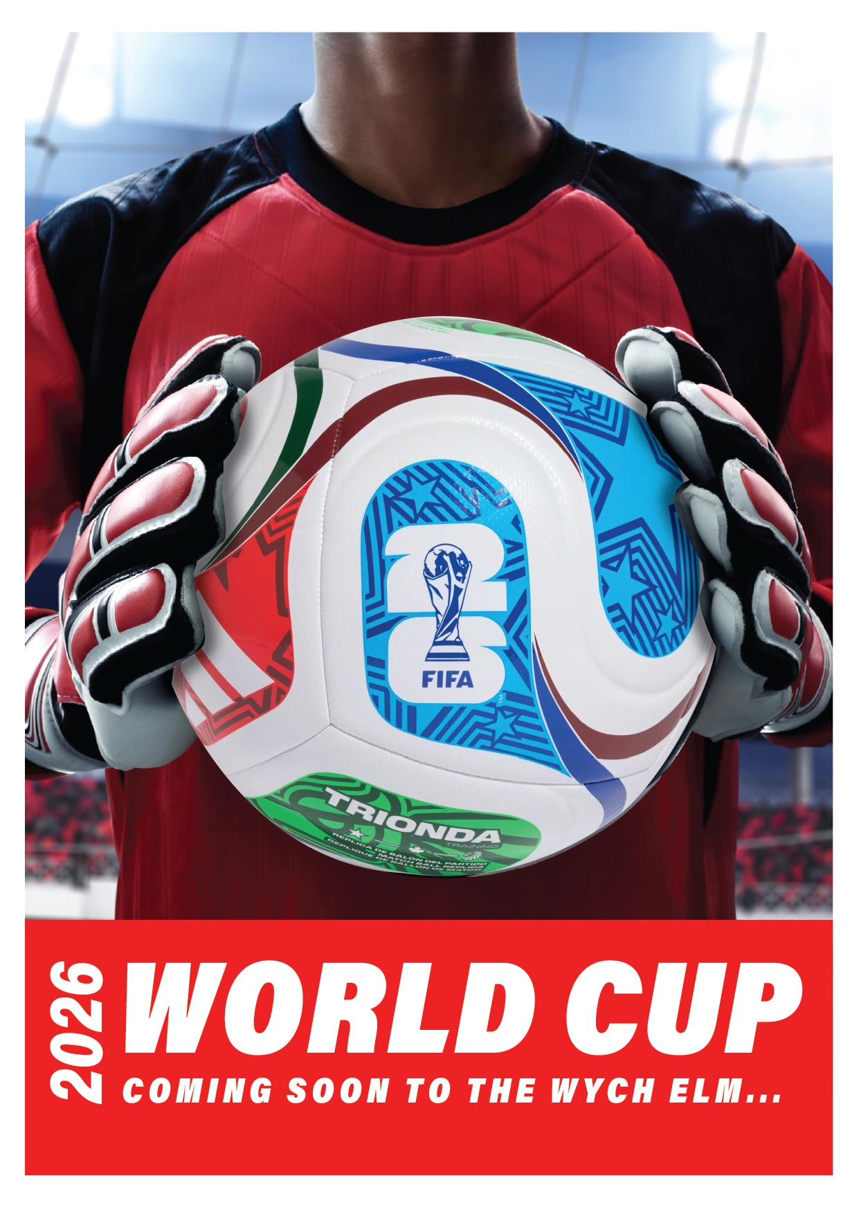 FOOTBALL WORLD CUP