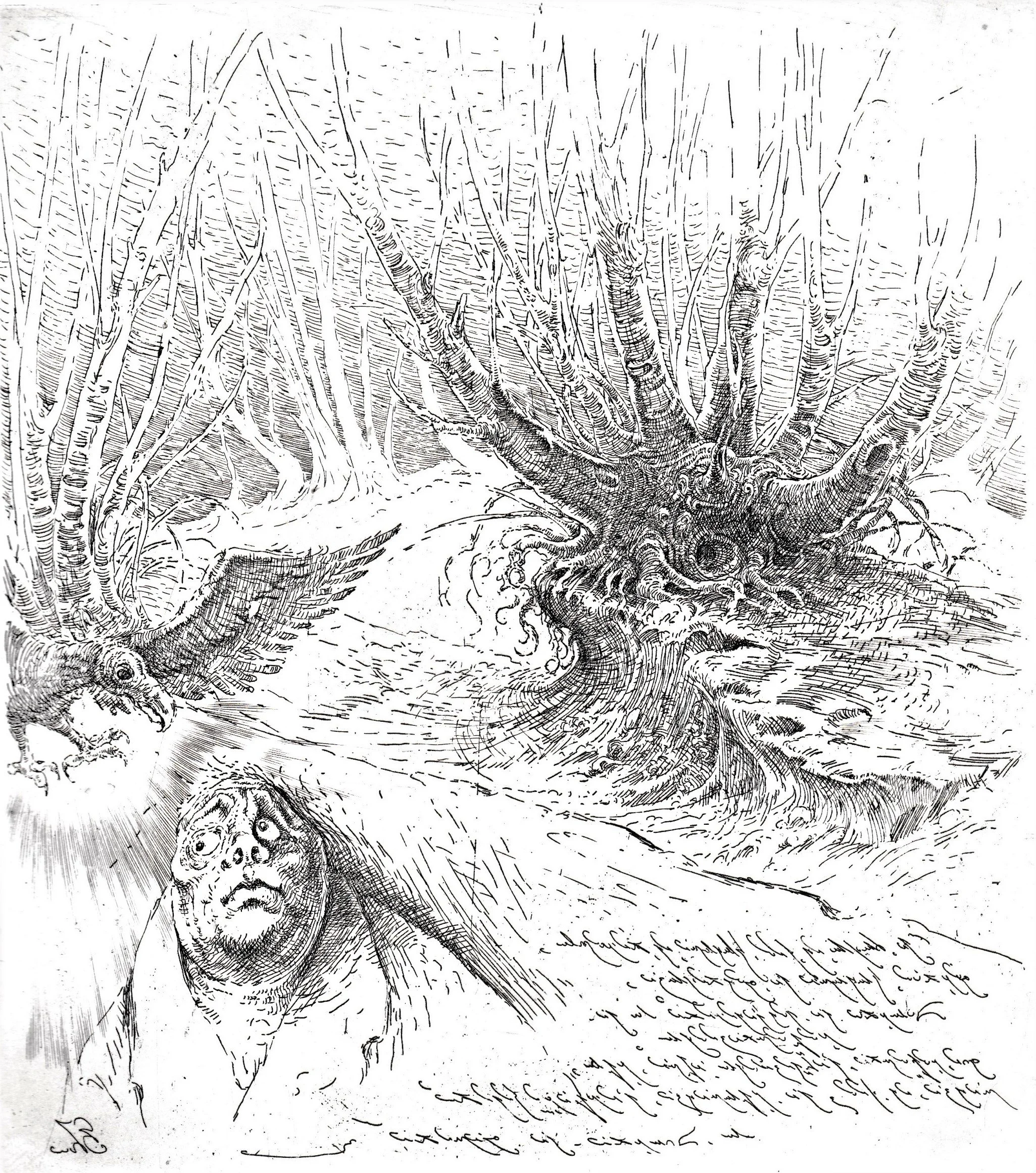 Rapaci, 1995. Acquaforte su zinco, mm 177x200