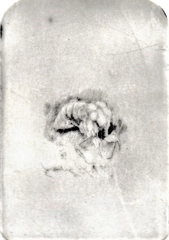 Insetto, 1992. Puntasecca su rame, mm 47x68