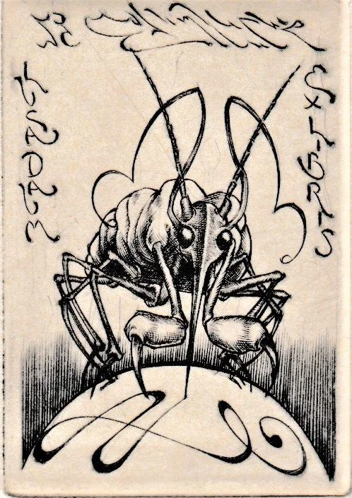 Ex Libris Luca Daum, 1995. Bulino su rame, mm 42x61