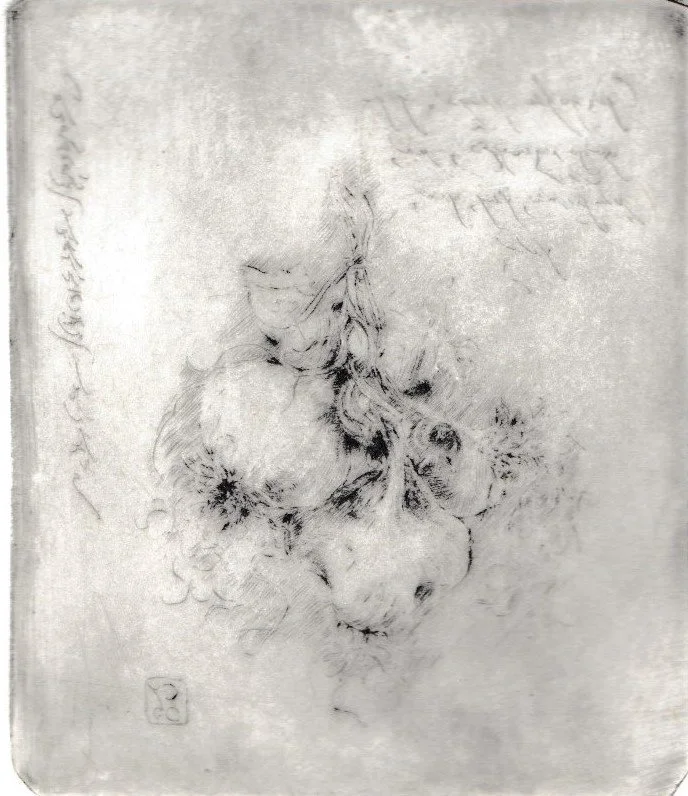 Aglio, 1992. Puntasecca su rame, mm 57x68